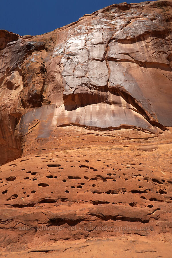sandstone & desert varnish [Corona Arch Trail, Moab, Grand County, Utah]
