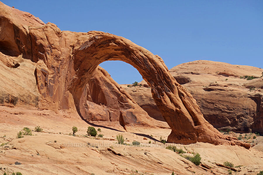 Corona Arch [Corona Arch Trail, Moab, Grand County, Utah]