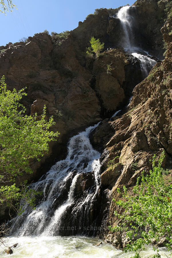 Ogden Canyon Waterfall [Ogden Canyon Road, Weber, Utah]