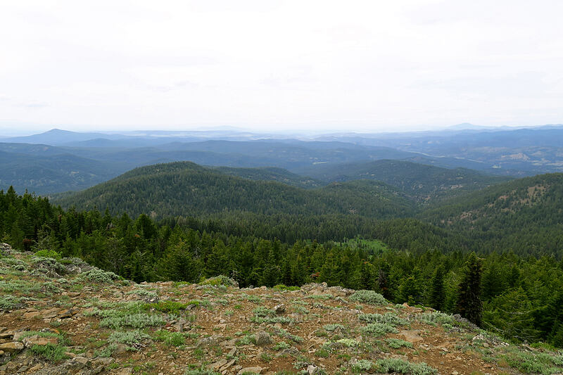 hazy view to the west [Lookout Mountain summit, Ochoco National Forest, Crook County, Oregon]