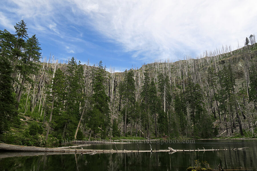 Babyfoot Lake [Babyfoot Lake Trail, Kalmiopsis Wilderness, Curry County, Oregon]