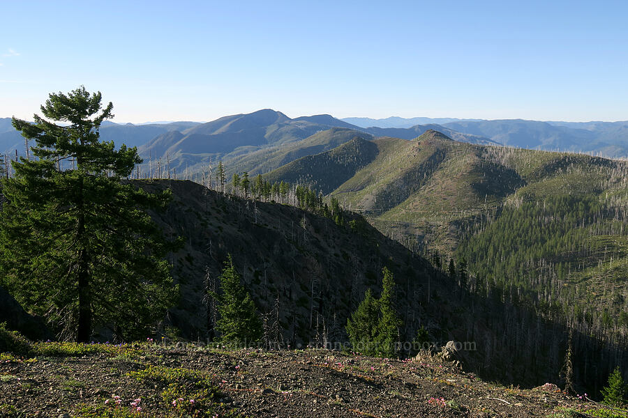 Pearsoll Peak [Babyfoot Lake Rim Trail, Rogue River-Siskiyou National Forest, Curry County, Oregon]