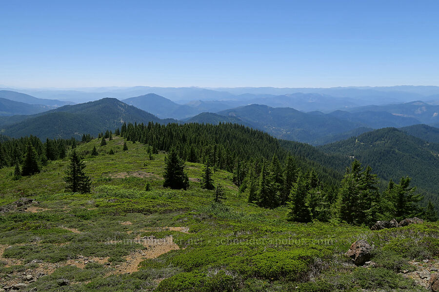 view to the southwest [King Mountain ACEC, Josephine County, Oregon]