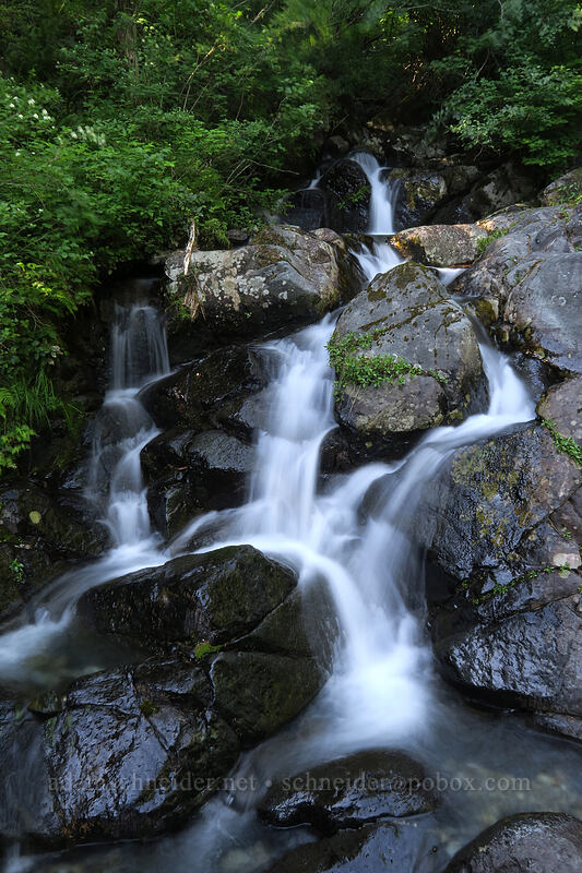 Rock Creek [Tarbell Trail, Gifford Pinchot National Forest, Clark County, Washington]