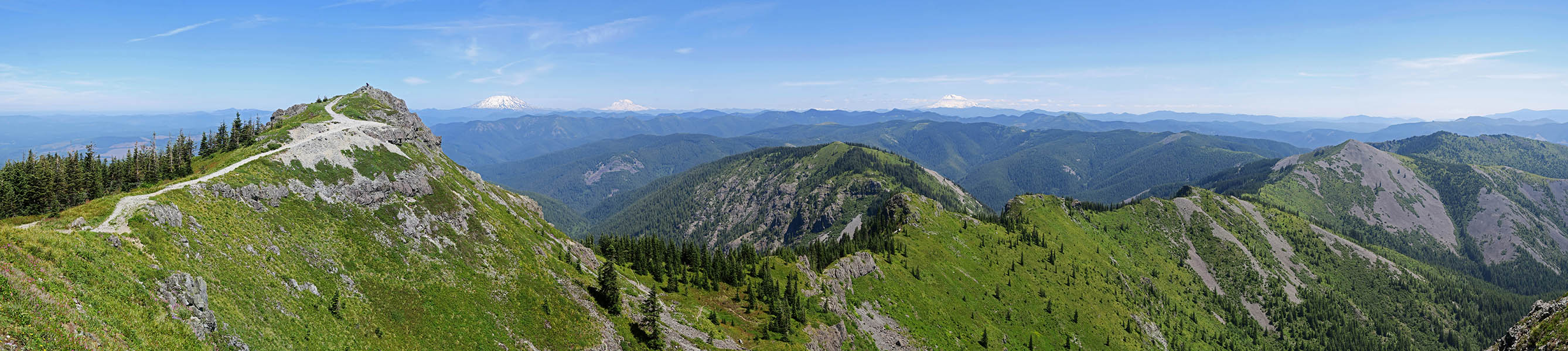 Silver Star Mountain panorama [Silver Star Mountain, Gifford Pinchot National Forest, Skamania County, Washington]