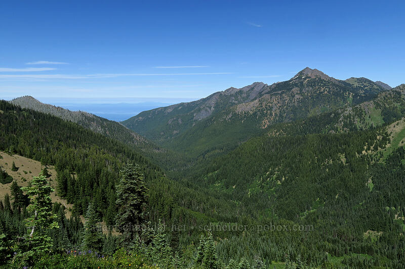 Mount Angeles & Little River Valley [Hurricane Hill Trail, Olympic National Park, Clallam County, Washington]