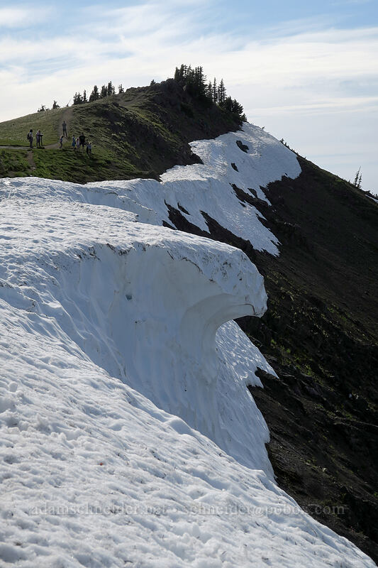 snow cornice [Hurricane Hill summit, Olympic National Park, Clallam County, Washington]