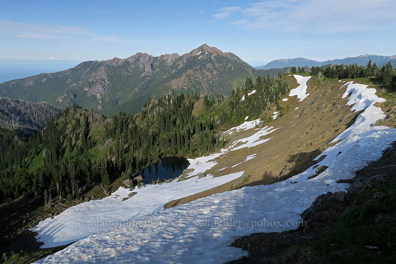 Mount Angeles & a temporary tarn [Hurricane Hill summit, Olympic National Park, Clallam County, Washington]