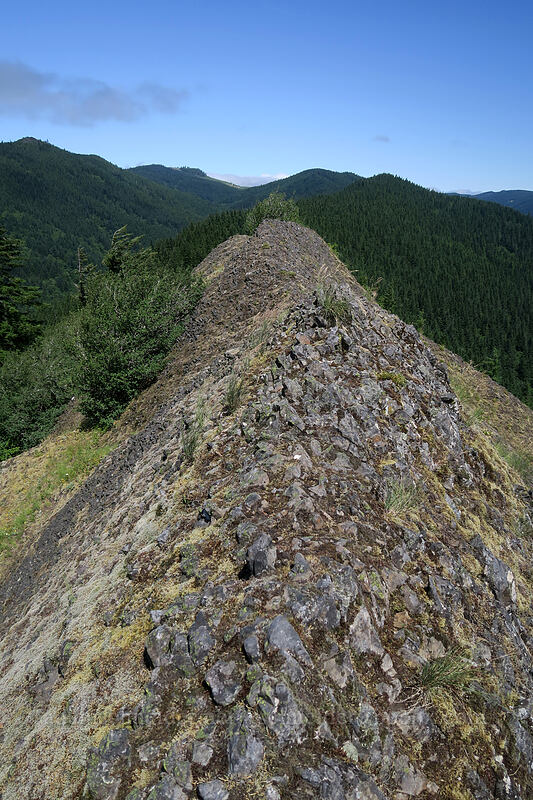 knife-edge ridge [Hamilton Mountain, Beacon Rock State Park, Skamania County, Washington]