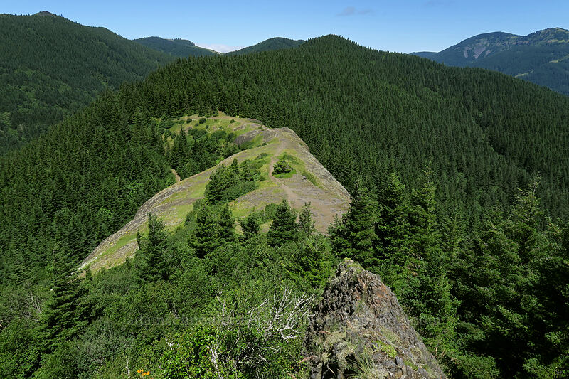 Hamilton Mountain saddle [Hamilton Mountain, Beacon Rock State Park, Skamania County, Washington]