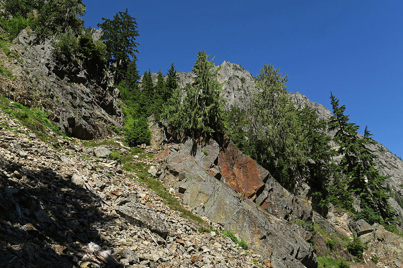 bushwhack [Sunrise Mine Trail, Morning Star NRCA, Snohomish County, Washington]