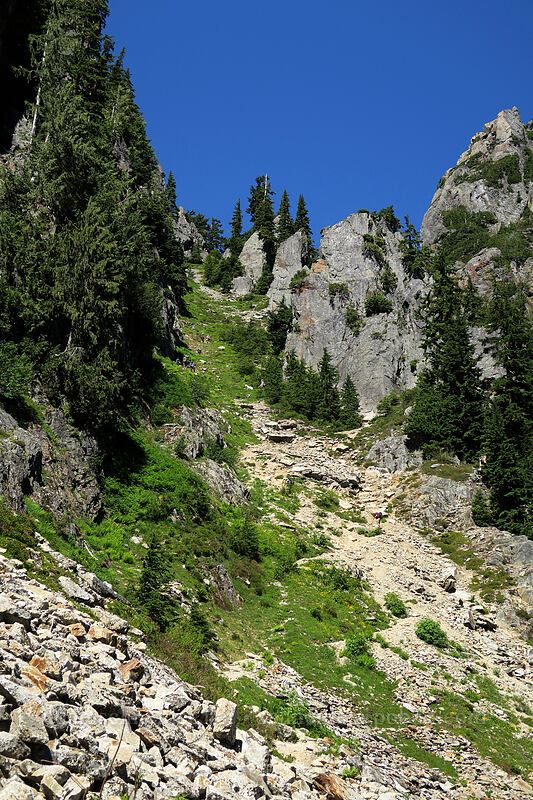 gully below Headlee Pass [Sunrise Mine Trail, Morning Star NRCA, Snohomish County, Washington]