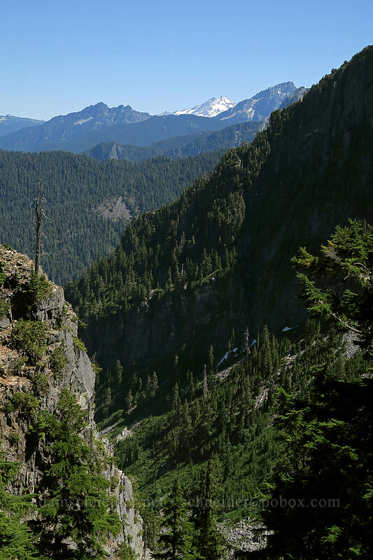 view toward Glacier Peak [Sunrise Mine Trail, Morning Star NRCA, Snohomish County, Washington]