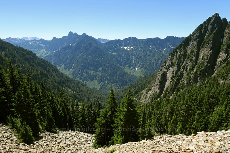 view to the south [Sunrise Mine Trail, Mount Baker-Snoqualmie National Forest, Snohomish County, Washington]
