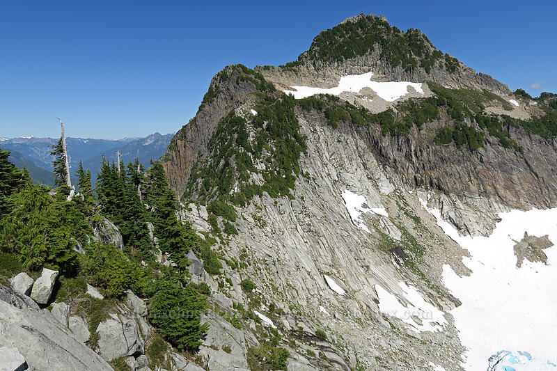 Sperry Peak approach [Wolf Peak, Morning Star NRCA, Snohomish County, Washington]