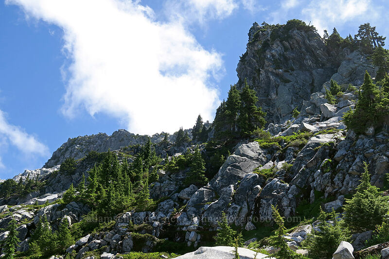 Mt. Pilchuck's summit [Mount Pilchuck Trail, Mount Pilchuck State Park, Snohomish County, Washington]