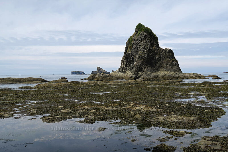 sea stack & tidepools [Rialto Beach, Olympic National Park, Clallam County, Washington]
