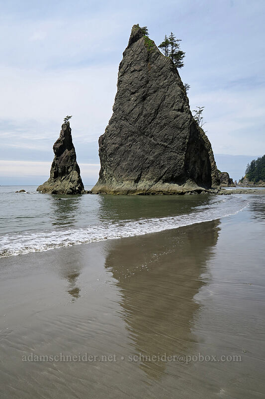 sea stacks [Rialto Beach, Olympic National Park, Clallam County, Washington]
