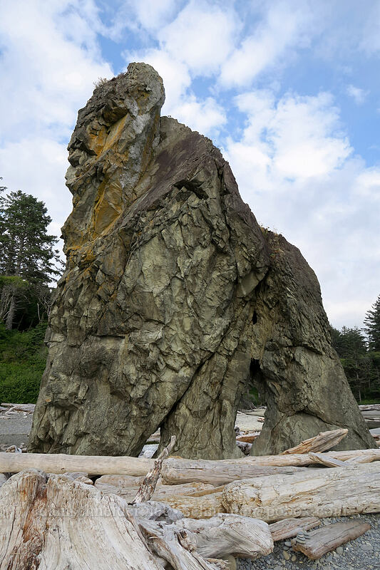 Gorilla Rock [Ruby Beach, Olympic National Park, Jefferson County, Washington]