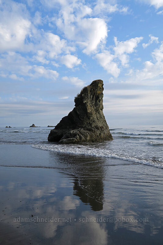 sea stack & clouds [Ruby Beach, Olympic National Park, Jefferson County, Washington]