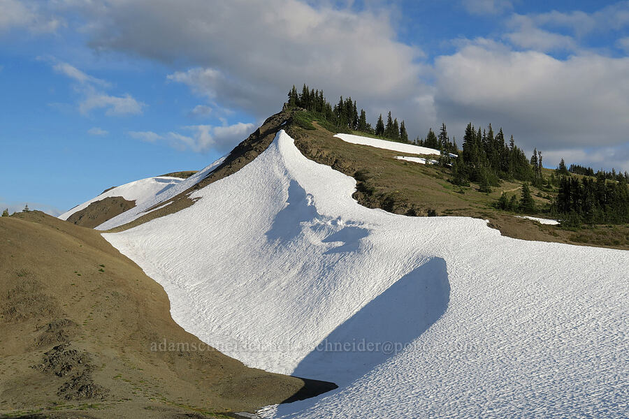 snowfields [Grand Ridge (Deer Park) Trail, Olympic National Park, Clallam County, Washington]