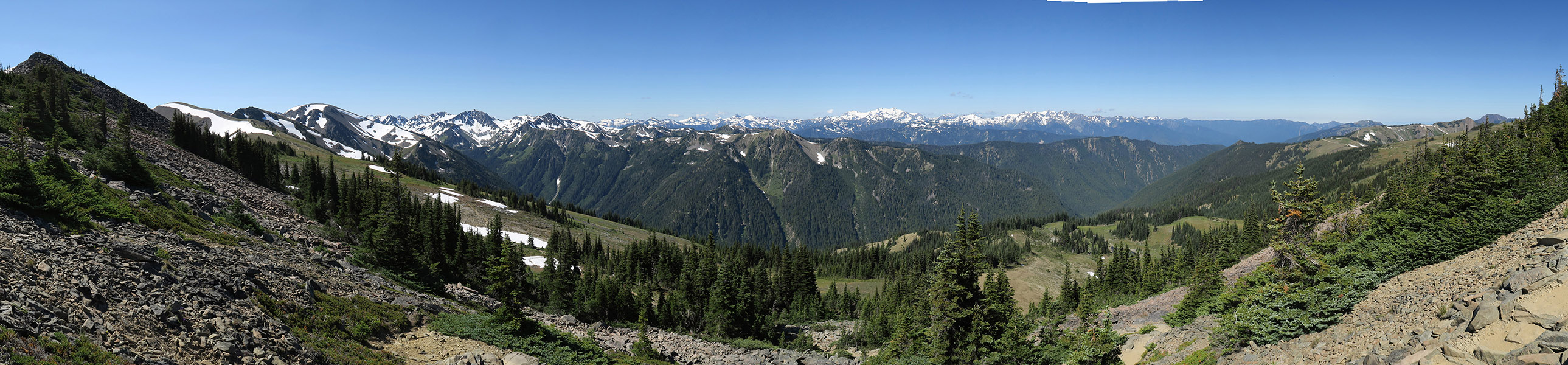 Lillian Ridge panorama [Grand Pass Trail, Olympic National Park, Clallam County, Washington]