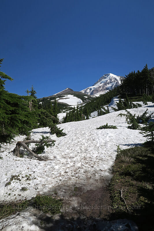 Mount Hood & snow on the trail [Vista Ridge Trail, Mt. Hood Wilderness, Hood River County, Oregon]