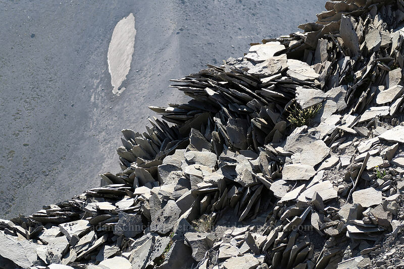 folded and broken rock [Gnarl Ridge, Mt. Hood Wilderness, Hood River County, Oregon]