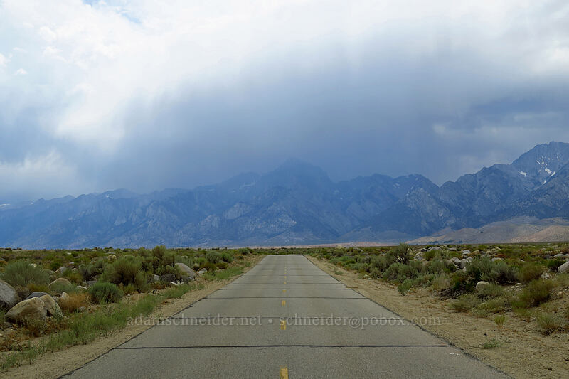 storms over Mt. Williamson [Onion Valley Road, Inyo County, California]