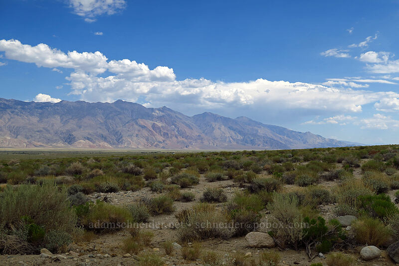 sagebrush, mountains, & clouds [Onion Valley Road, Inyo County, California]