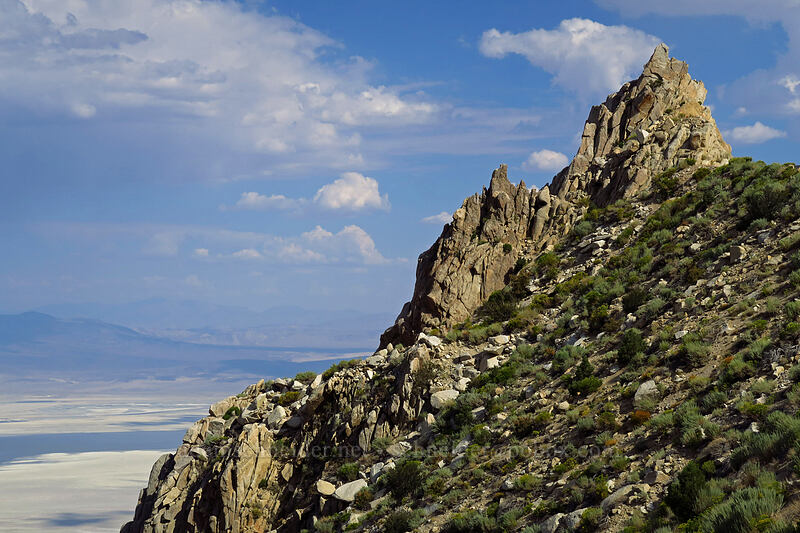 rock pinnacles above Owens Lake [Horseshoe Meadows Road, Inyo National Forest, Inyo County, California]