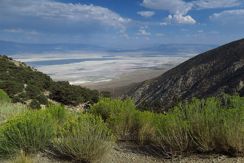 Owens Lake [Horseshoe Meadows Road, Inyo National Forest, Inyo County, California]