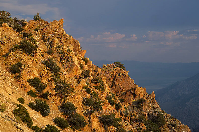crags in evening light [Horseshoe Meadows Road, Inyo National Forest, Inyo County, California]