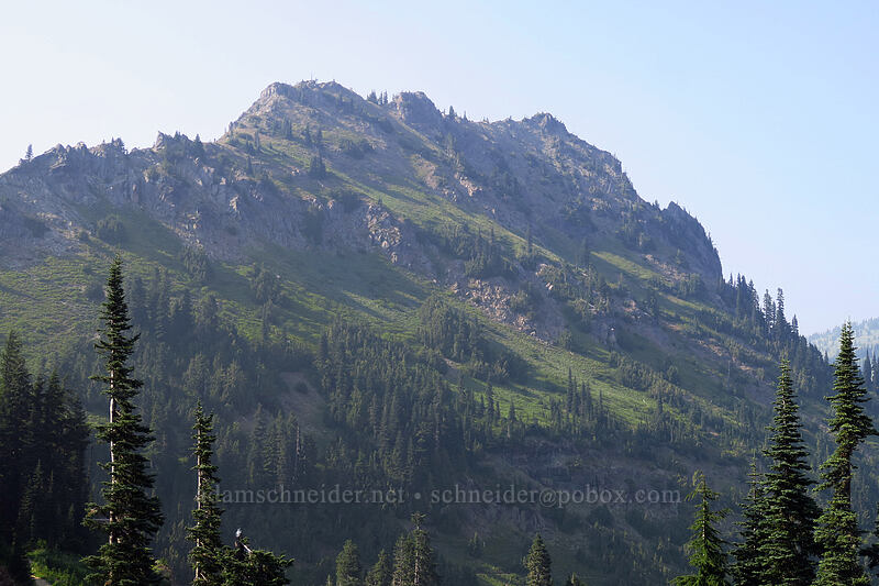 Deadwood Peak [Naches Loop Trail, Wenatchee National Forest, Yakima County, Washington]
