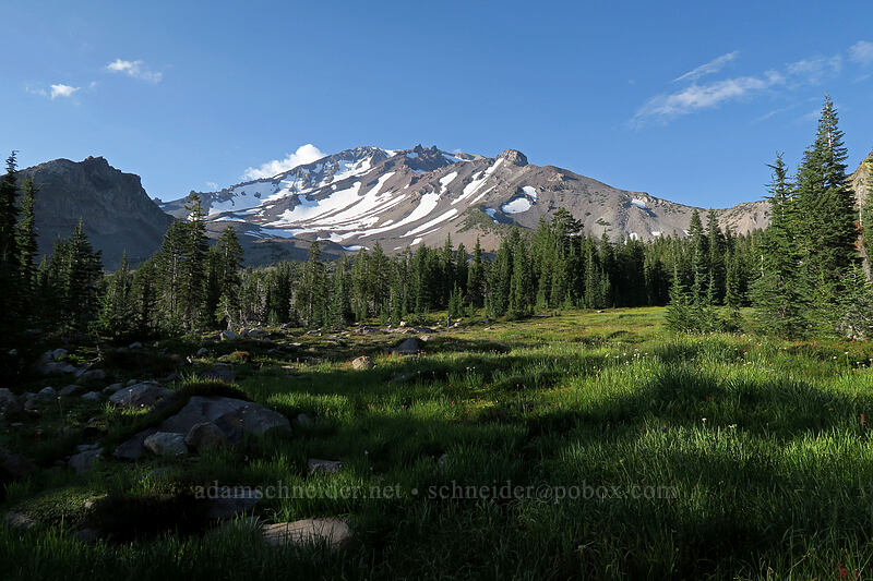 Mount Shasta [Panther Meadow, Shasta-Trinity National Forest, Siskiyou County, California]