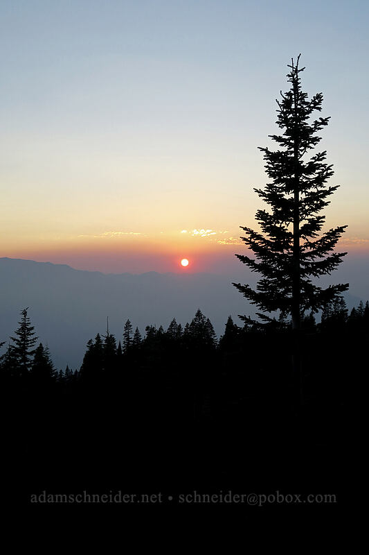 smoky sunset [Everitt Vista Overlook, Shasta-Trinity National Forest, Siskiyou County, California]