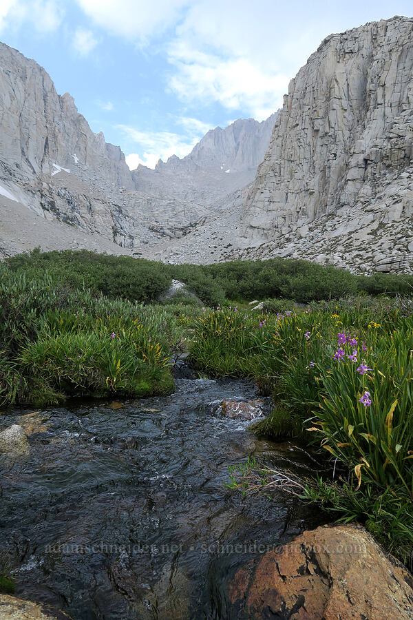 Upper Boy Scout Lake's outlet [Mt. Whitney Mountaineer's Route, John Muir Wilderness, Inyo County, California]