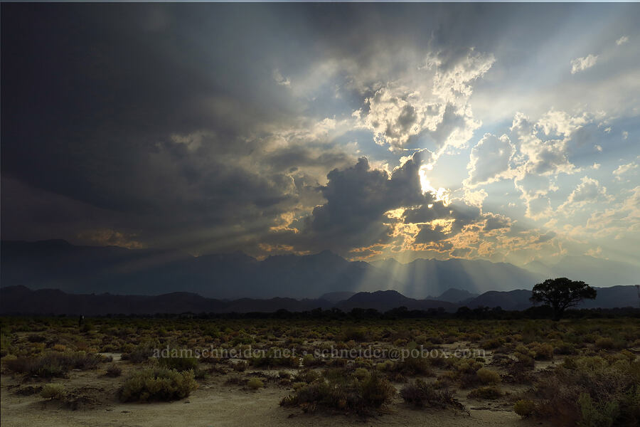 evening sun & clouds over Mt. Whitney [Substation Road, Lone Pine, Inyo County, California]