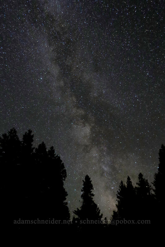 Milky Way [Long Creek Mountain, Malheur National Forest, Grant County, Oregon]