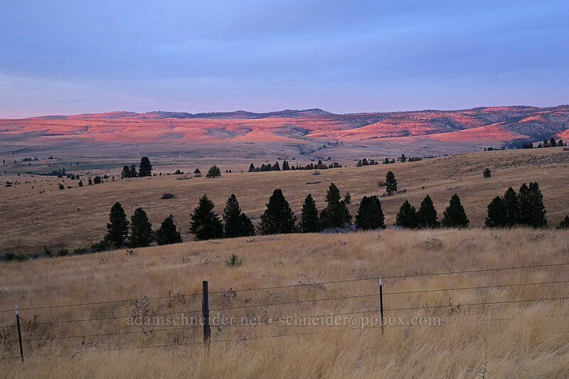 sunset on dry hills [Long Creek Mountain, Malheur National Forest, Grant County, Oregon]