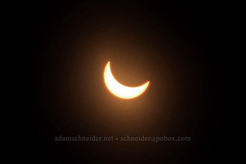 partial solar eclipse [Long Creek Mountain, Malheur National Forest, Grant County, Oregon]