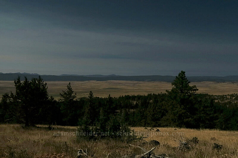 Fox Valley under a near-total solar eclipse [Long Creek Mountain, Malheur National Forest, Grant County, Oregon]