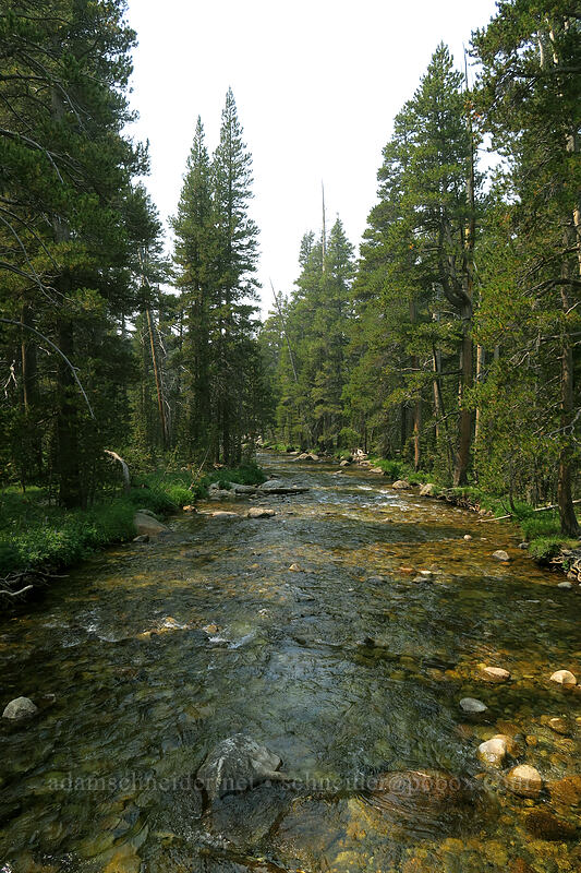 Dana Fork [Tuolumne Meadows, Yosemite National Park, Tuolumne County, California]