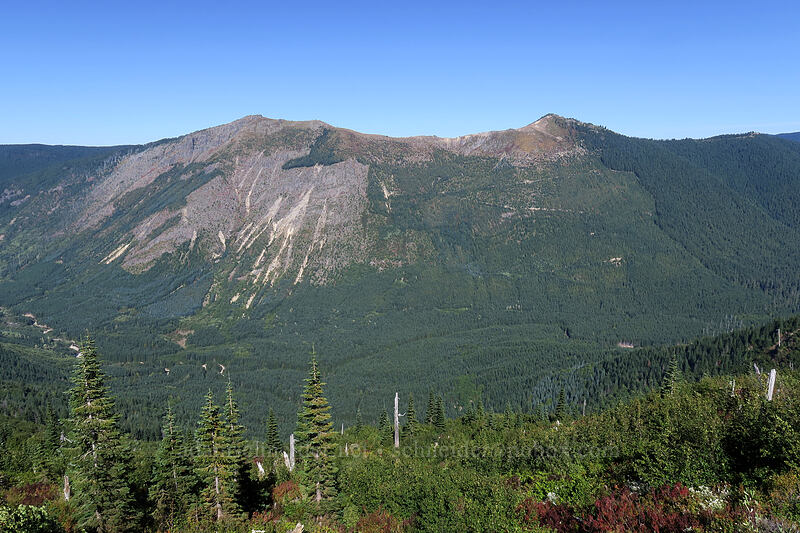 Goat Mountain [Lakes Trail, Mt. St. Helens National Volcanic Monument, Skamania County, Washington]