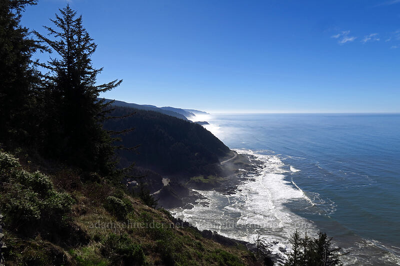 shoreline south of Cape Perpetua [Whispering Spruce Trail, Siuslaw National Forest, Lincoln County, Oregon]