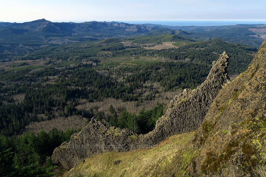 basaltic dike [Saddle Mountain Trail, Saddle Mountain State Natural Area, Clatsop County, Oregon]