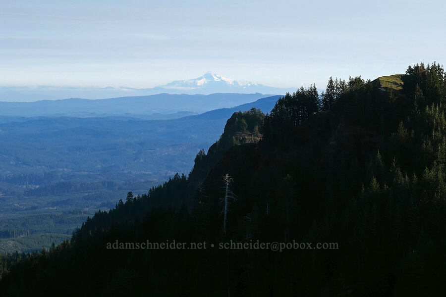 Fata Morgana mirage: Mt. Hood [Saddle Mountain Trail, Saddle Mountain State Natural Area, Clatsop County, Oregon]