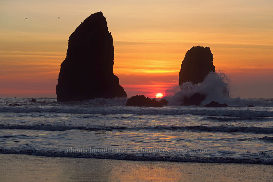 The Needles at sunset [Cannon Beach, Clatsop County, Oregon]