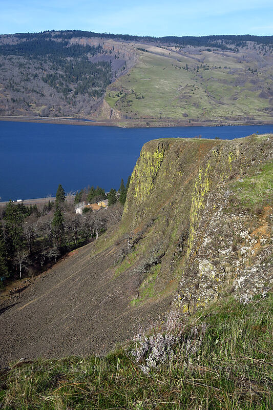 edge of Mosier Plateau [Mosier Plateau Trail, Mosier, Wasco County, Oregon]