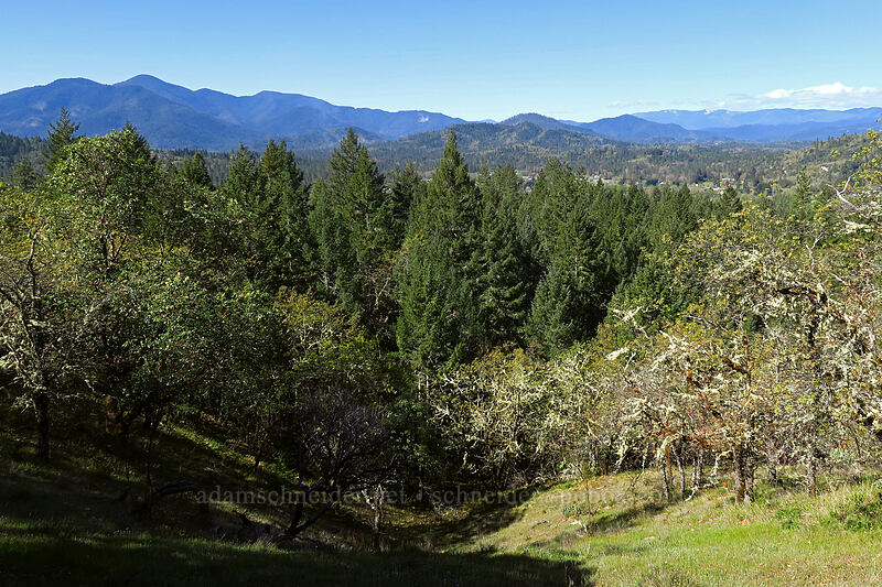 Siskiyou Mountains [Upper Hogback Trail, Cathedral Hills Park, Josephine County, Oregon]